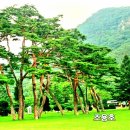 영신물산(주)
