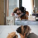 충주 솔약국 이미지