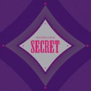 시크릿(SECRET)