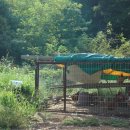 장구너머 박정아 이미지