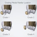 우리덕구 동물병원 이미지