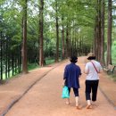 황토메타길 이미지