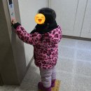 티볼 | 노스페이스 티볼 머플러 키즈 블랙 후기