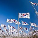 도일 행정사 사무소 이미지