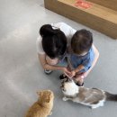 수원-1355 | 수원 아이랑 가볼만한 곳｜수원 동물원 수달앤쥬 14개월 아기와 다녀온 후기