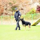 권순호농장 이미지