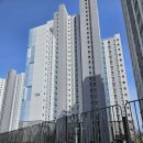 천진초등학교병설유치원 | [임장] 강원도 고성군 토성면 : 언젠간 시골에 살게 된다면