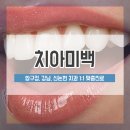 하얀드림치과의원 이미지