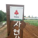 일헌농원 이미지