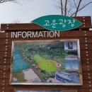 상림고운광장 네이버블로그