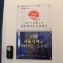 마젤헤어라인