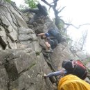 스타펠리스앞 이미지