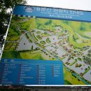 용문산관광지 야영장 이미지