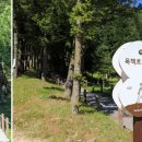 아름드리목장 이미지