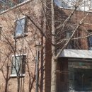 도화동 경로당 이미지