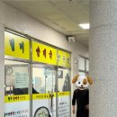 별미순대국본점 이미지