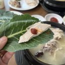 서울논현거평우편취급국 | 논현역 맛집 용삼계탕 / 회사 점심의 마지막 단골집