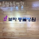 보라종합동물병원 이미지