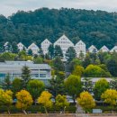 명동아이랜드 이미지