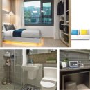 솔라리움 이미지