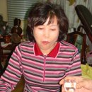 병일농장 Daum카페