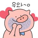 와이앤뷰티스튜디오