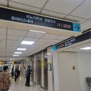 신장 혈관지방종 5cm, 시술 대신 ‘경과 관찰’ 결정한 이유 (부천성모병원 진료 후기)