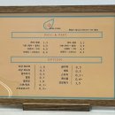 비온디네일 네이버블로그