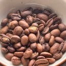 카페콩(cafe bean) 이미지