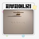 4543 | 마산피부관리,마산에스테틱 회원동 "피부피어나리" 얼굴관리 후기