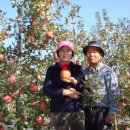 부림농장 이미지