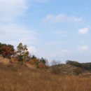 숙이목장 이미지