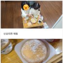 지에스25 화순능주점 | GS25 화순능주점_시골살이 꿀팁! 시골에서 편의점은 물건만 사는 공간이 아니다