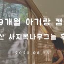 사지목나무그늘 이미지