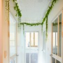 함께냥 본점 이미지