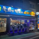 물회가 막회가 싸다구