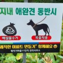 세종J피부과의원 이미지