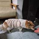 문화카센타 이미지