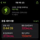 한남치과의원 | 5월 5 - 10일