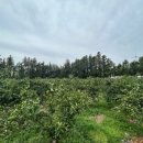 상예동-4 이미지