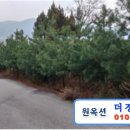 대둔주유소 이미지