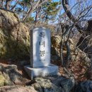 해운대에 올라 이미지