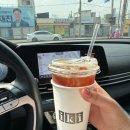 카페보리 | 순천 반려동물놀이터 추천 &amp; 보리랑 다녀온 감성 카페 이키 후기