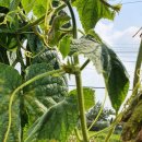 김경수농장 이미지