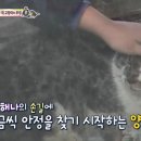 우정농장 이미지