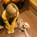 언니머리 Daum카페