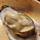 굴사냥조개사냥 | 김포 사우동 맛집 굴사냥조개사냥 후기｜생굴 서비스에 굴찜 조개찜 푸짐한 맛집