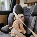 노형세탁 이미지