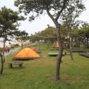 하모리-5 이미지