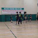 메디쿼터 이미지